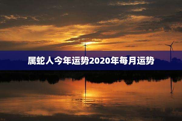 属蛇人今年运势2020年每月运势