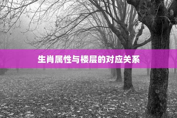 生肖属性与楼层的对应关系