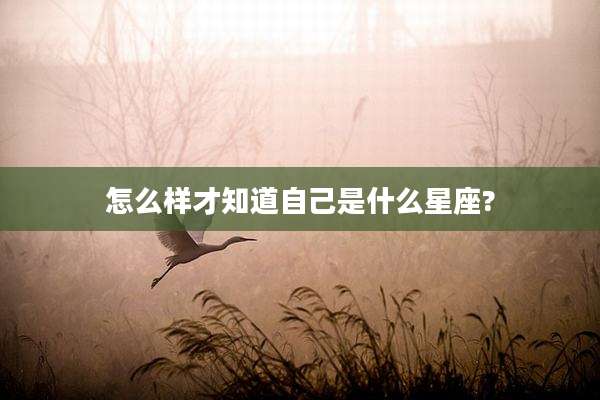 怎么样才知道自己是什么星座?