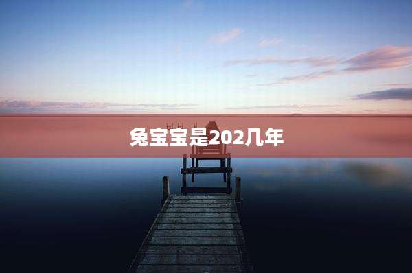 兔宝宝是202几年