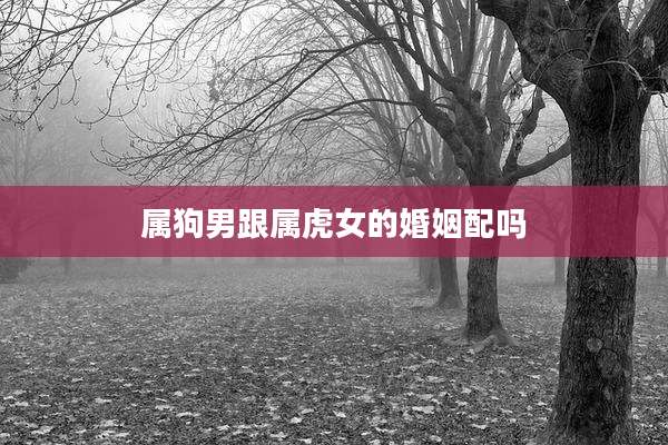 属狗男跟属虎女的婚姻配吗