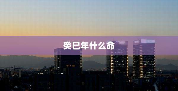 癸巳年什么命