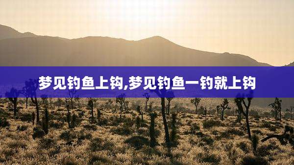 梦见钓鱼上钩,梦见钓鱼一钓就上钩