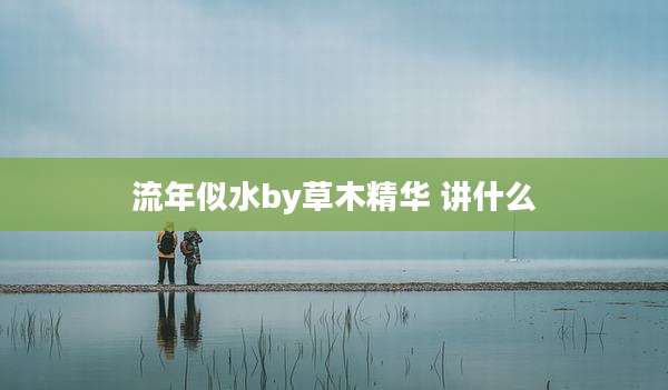 流年似水by草木精华 讲什么