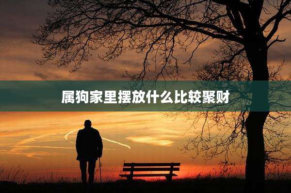 属狗家里摆放什么比较聚财