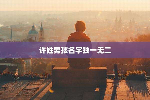 许姓男孩名字独一无二