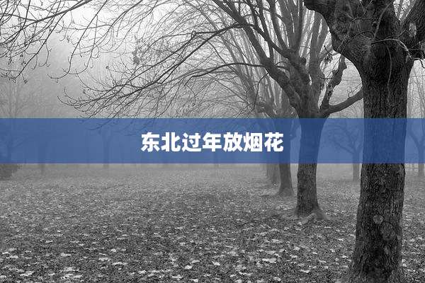 东北过年放烟花