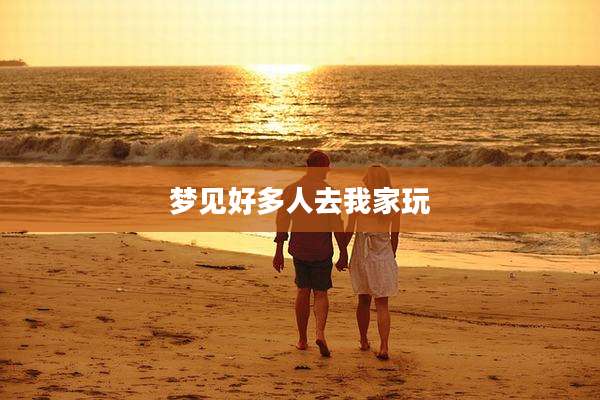 梦见好多人去我家玩