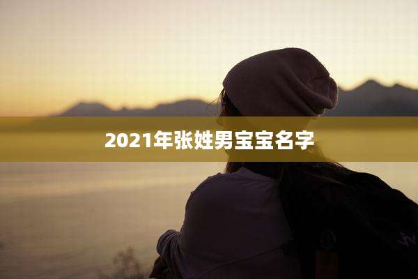 2021年张姓男宝宝名字