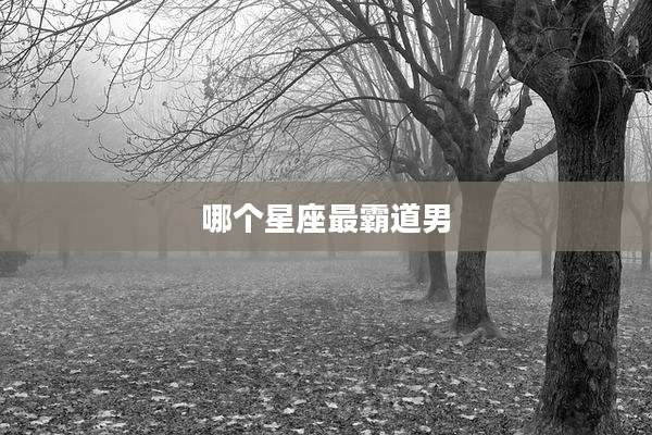 哪个星座最霸道男