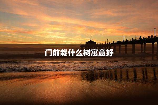 门前栽什么树寓意好