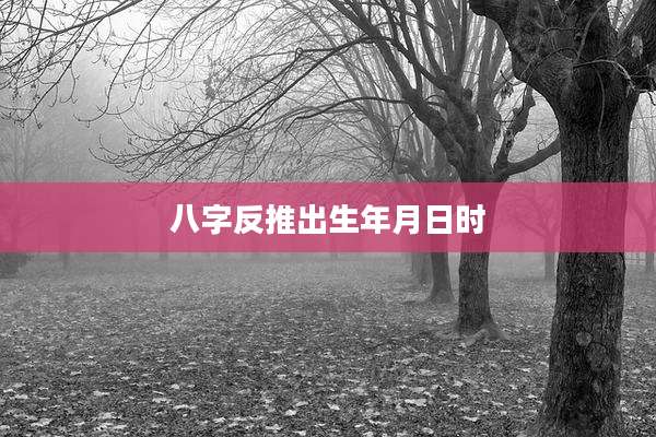 八字反推出生年月日时