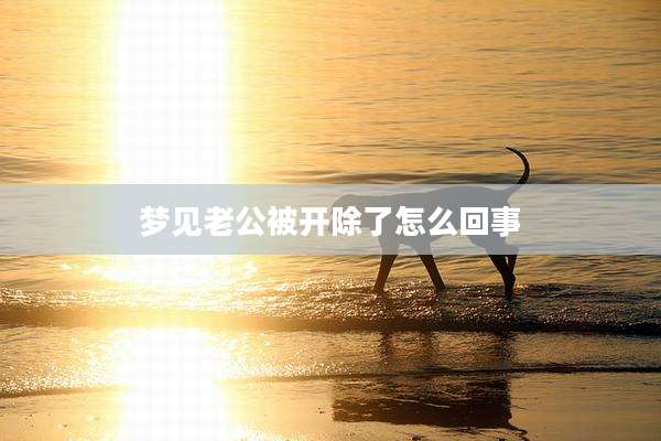 梦见老公被开除了怎么回事