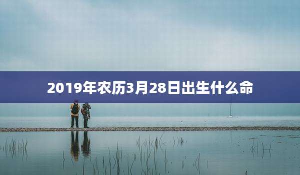2019年农历3月28日出生什么命