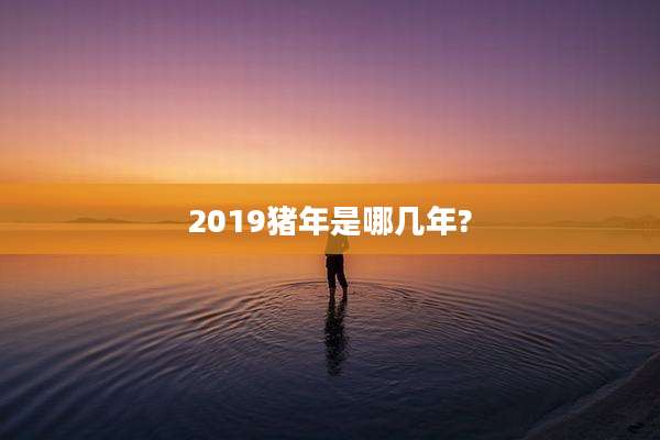 2019猪年是哪几年?
