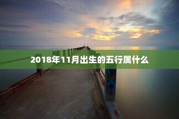 2018年11月出生的五行属什么