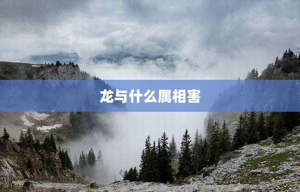 龙与什么属相害