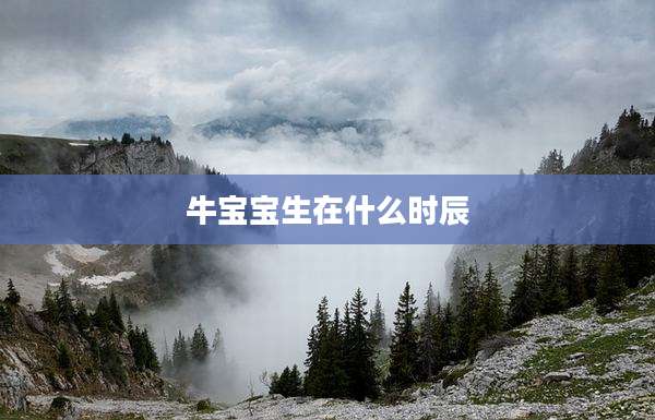 牛宝宝生在什么时辰