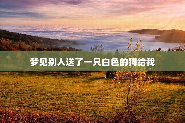 梦见别人送了一只白色的狗给我