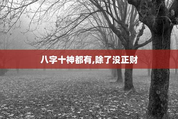 八字十神都有,除了没正财