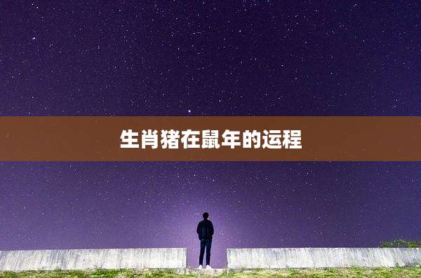 生肖猪在鼠年的运程