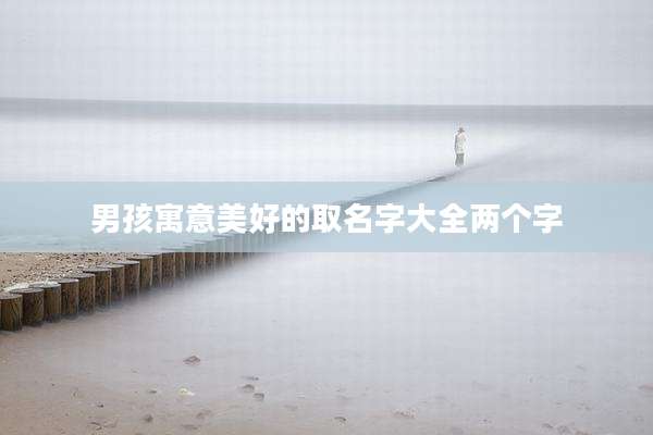 男孩寓意美好的取名字大全两个字