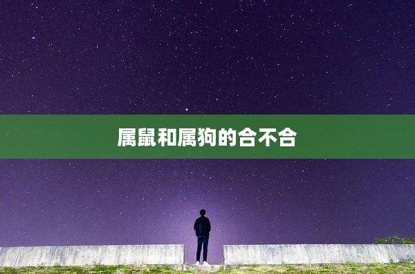 属鼠和属狗的合不合