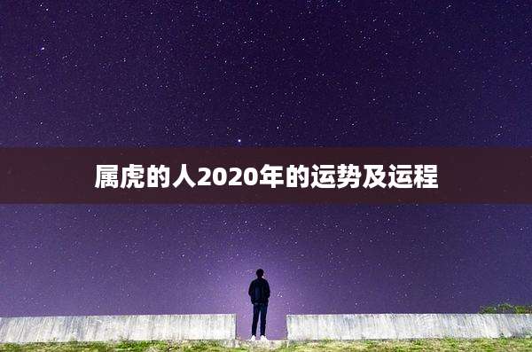 属虎的人2020年的运势及运程