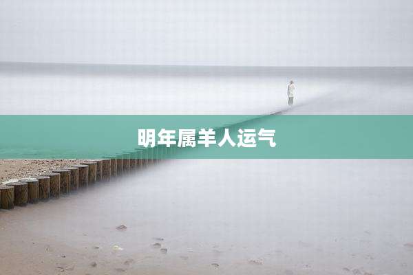 明年属羊人运气