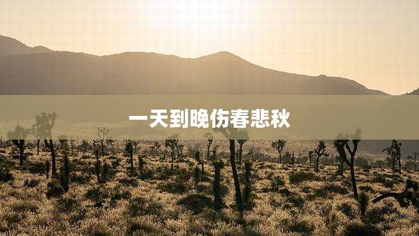一天到晚伤春悲秋