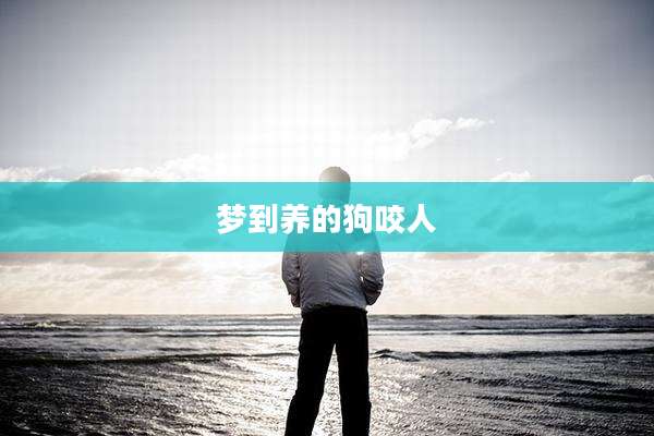 梦到养的狗咬人