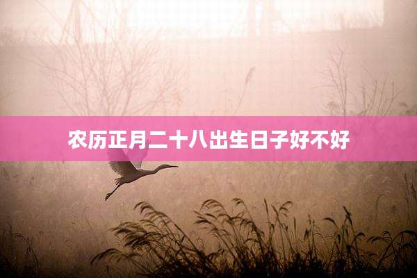 农历正月二十八出生日子好不好