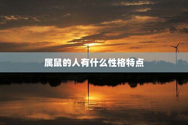 属鼠的人有什么性格特点