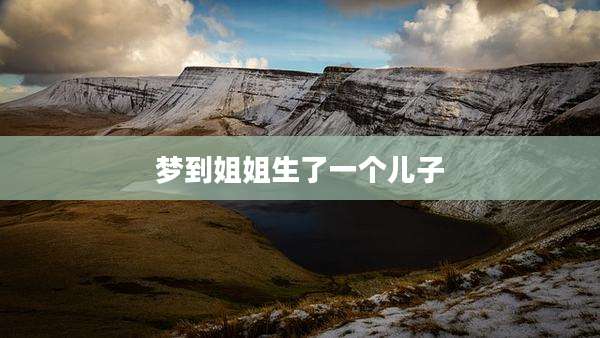 梦到姐姐生了一个儿子