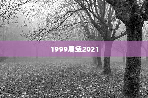 1999属兔2021