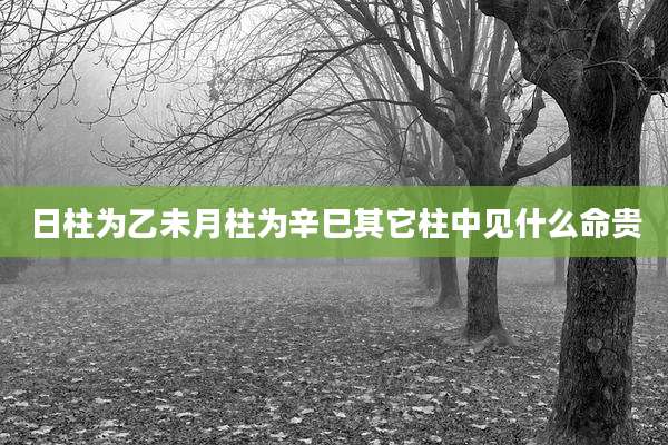 日柱为乙未月柱为辛巳其它柱中见什么命贵