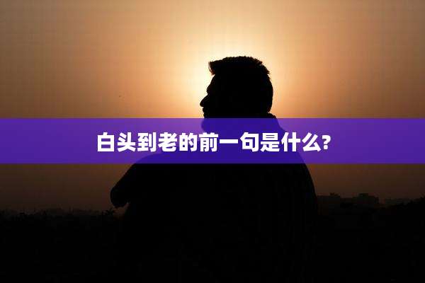 白头到老的前一句是什么?