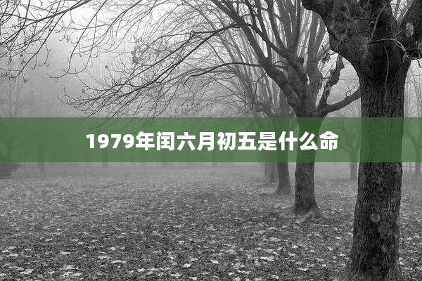 1979年闰六月初五是什么命