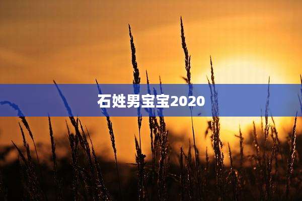 石姓男宝宝2020