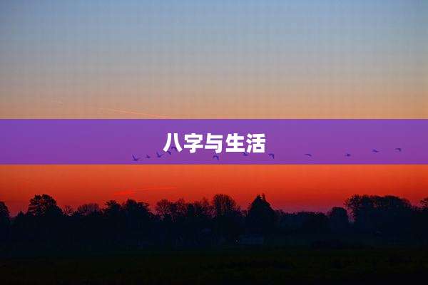 八字与生活