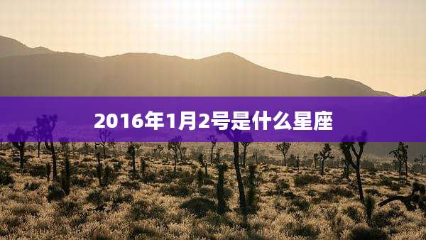 2016年1月2号是什么星座