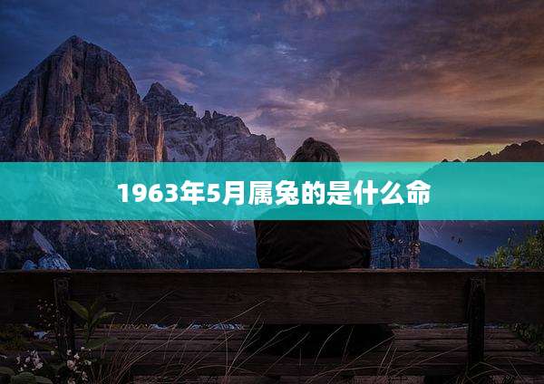 1963年5月属兔的是什么命