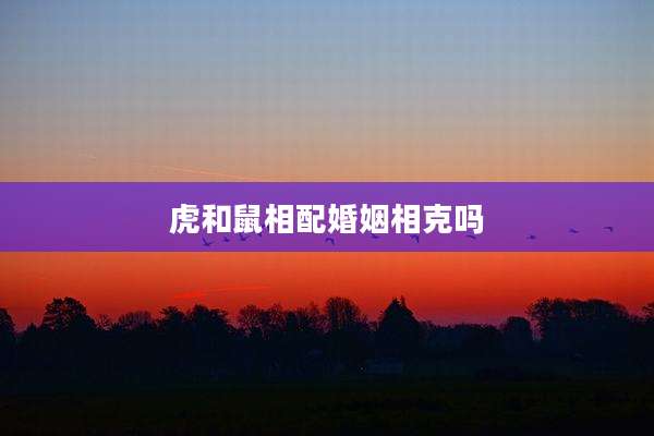 虎和鼠相配婚姻相克吗
