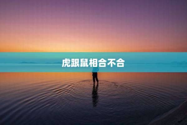 虎跟鼠相合不合