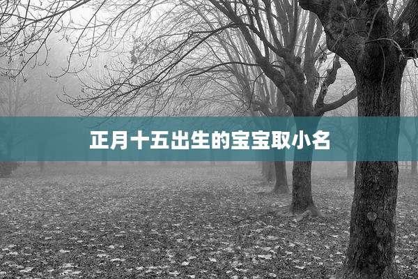 正月十五出生的宝宝取小名