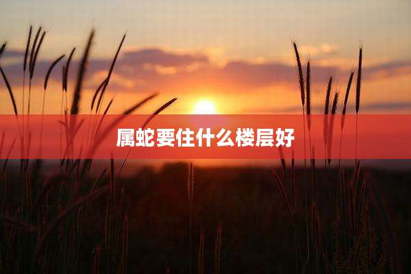 属蛇要住什么楼层好