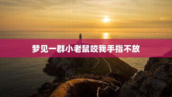 梦见一群小老鼠咬我手指不放