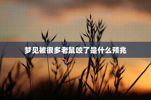 梦见被很多老鼠咬了是什么预兆