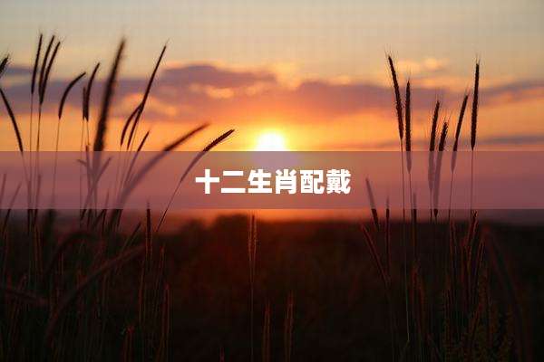 十二生肖配戴