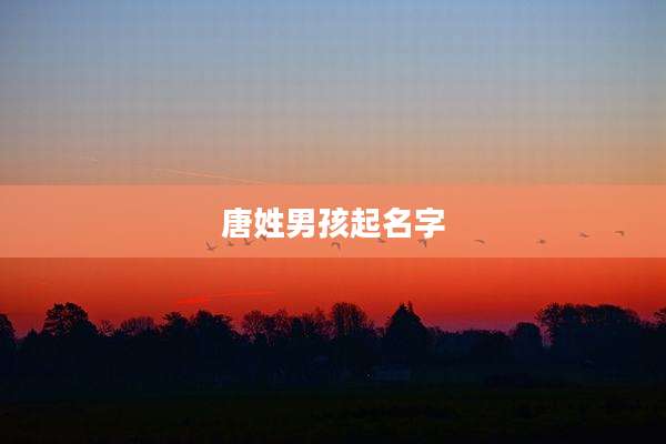 唐姓男孩起名字
